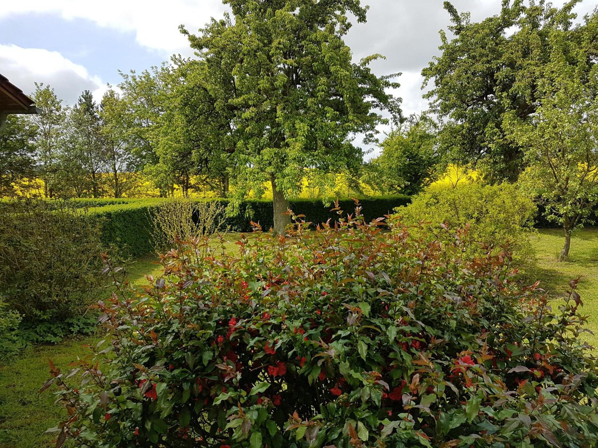 Ferienhaus Uckermark Casekow Bagian luar foto